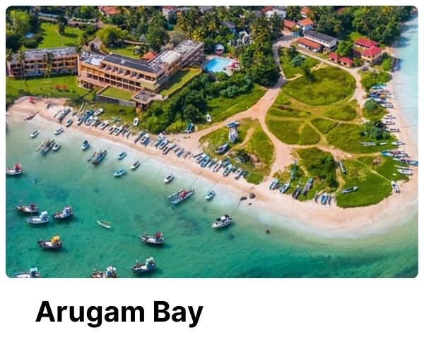 Arugam Bay
